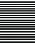 Bold Black White Striped Pattern Rug