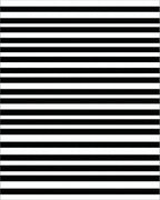 Bold Black White Striped Pattern Rug