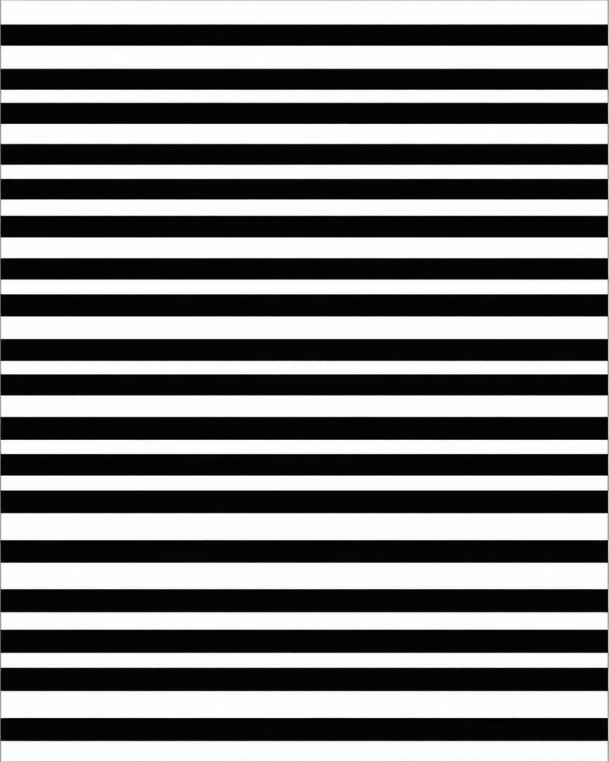 Bold Black White Striped Pattern Rug