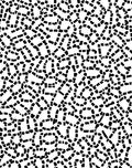 Organic Black White Abstract Pattern Rug