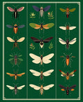 Vintage Insect Collection Pattern Rug
