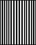 Bold Black White Vertical Stripe Pattern Rug