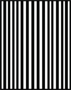 Bold Black White Vertical Stripe Pattern Rug