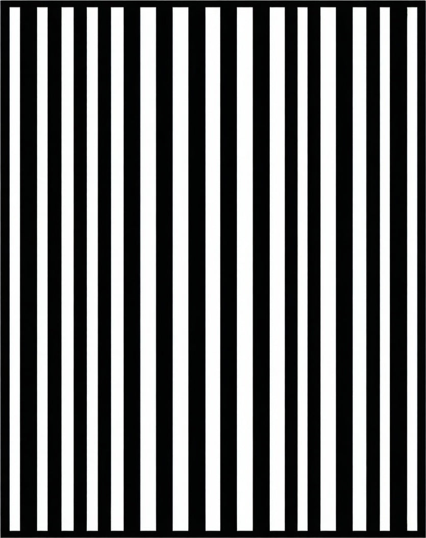 Bold Black White Vertical Stripe Pattern Rug