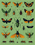 Nature Insects Collection Design Rug