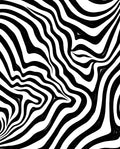 Abstract Black White Wave Pattern Rug