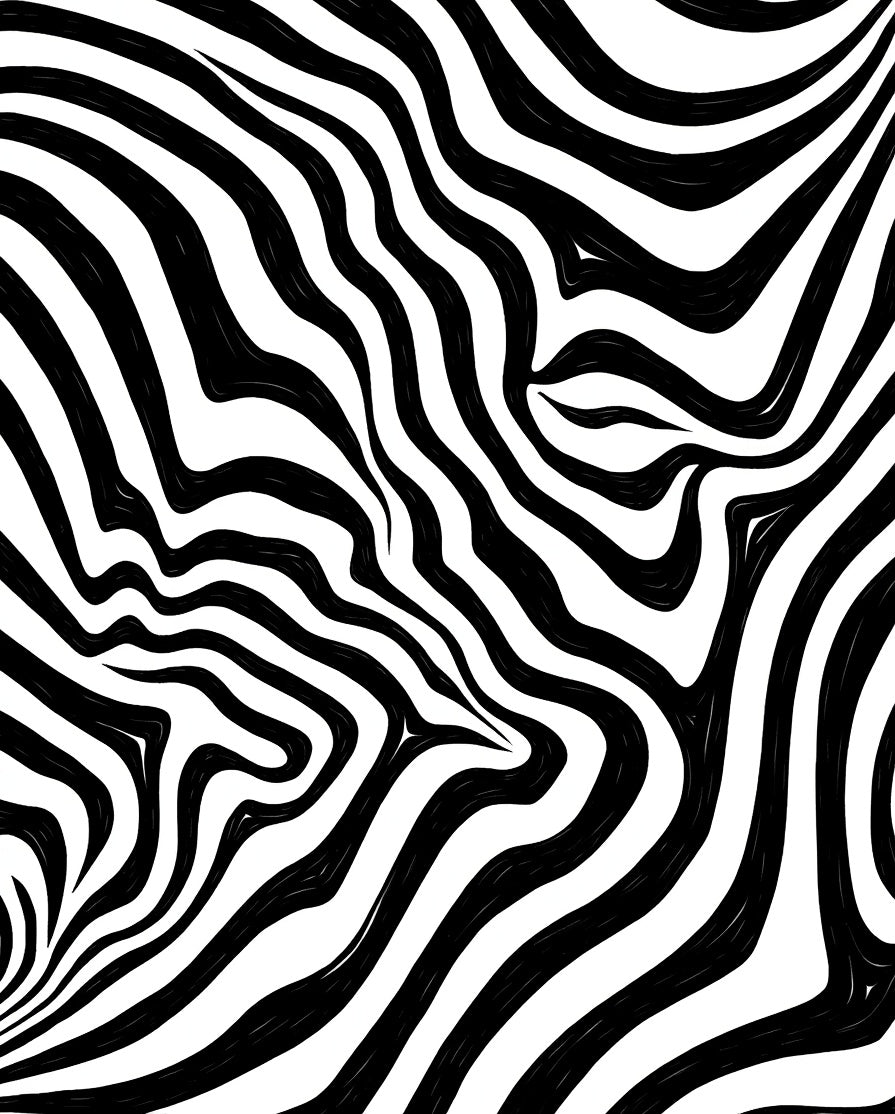 Abstract Black White Wave Pattern Rug
