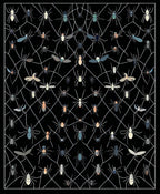 Webbed Insect And Spider Collection Rug