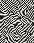 Bold Black And White Zebra Pattern Rug