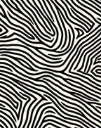 Bold Black And White Zebra Pattern Rug