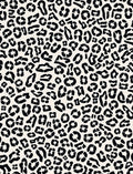 Classic Leopard Print Pattern Rug