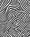Bold Black White Zebra Stripe Pattern Rug