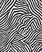 Bold Black White Zebra Stripe Pattern Rug
