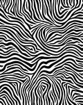 Abstract Black Zebra Stripe Pattern Rug
