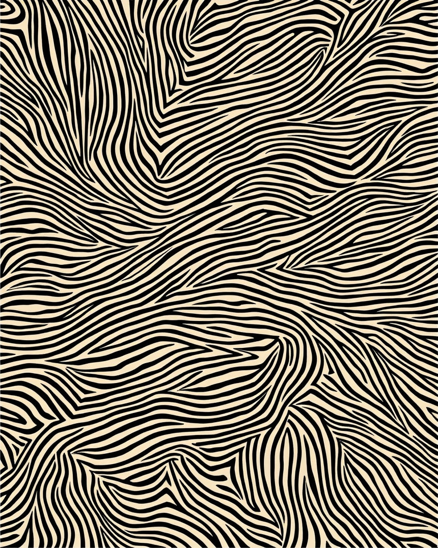 Wild Zebra Stripe Pattern Rug