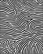 Abstract Flowing Wavy Lines Design Rug