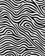 Abstract Black White Wavy Lines Rug