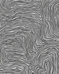 Abstract Black White Contour Pattern Rug