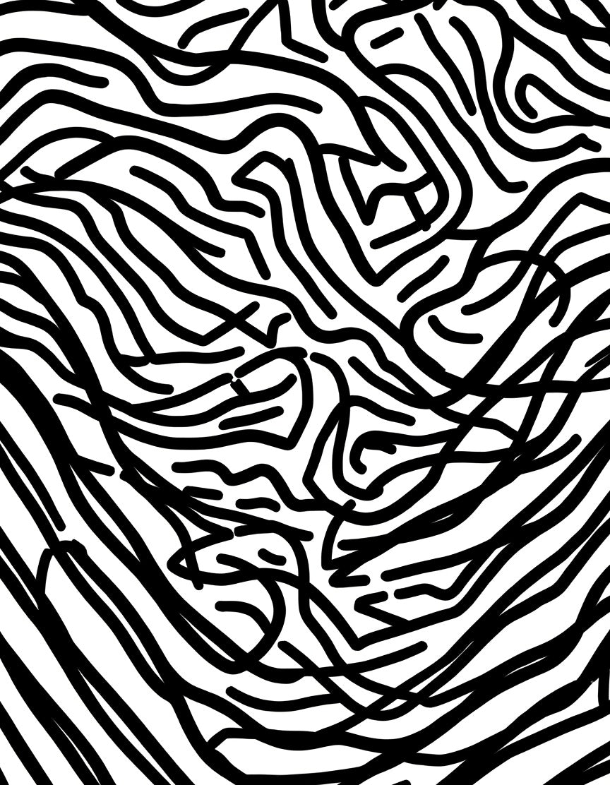 Abstract Zebra Stripe Pattern Design Rug
