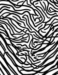 Abstract Zebra Stripe Pattern Design Rug