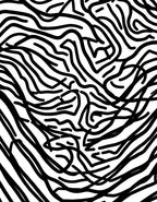 Abstract Zebra Stripe Pattern Design Rug