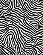Bold Black White Animal Print Rug
