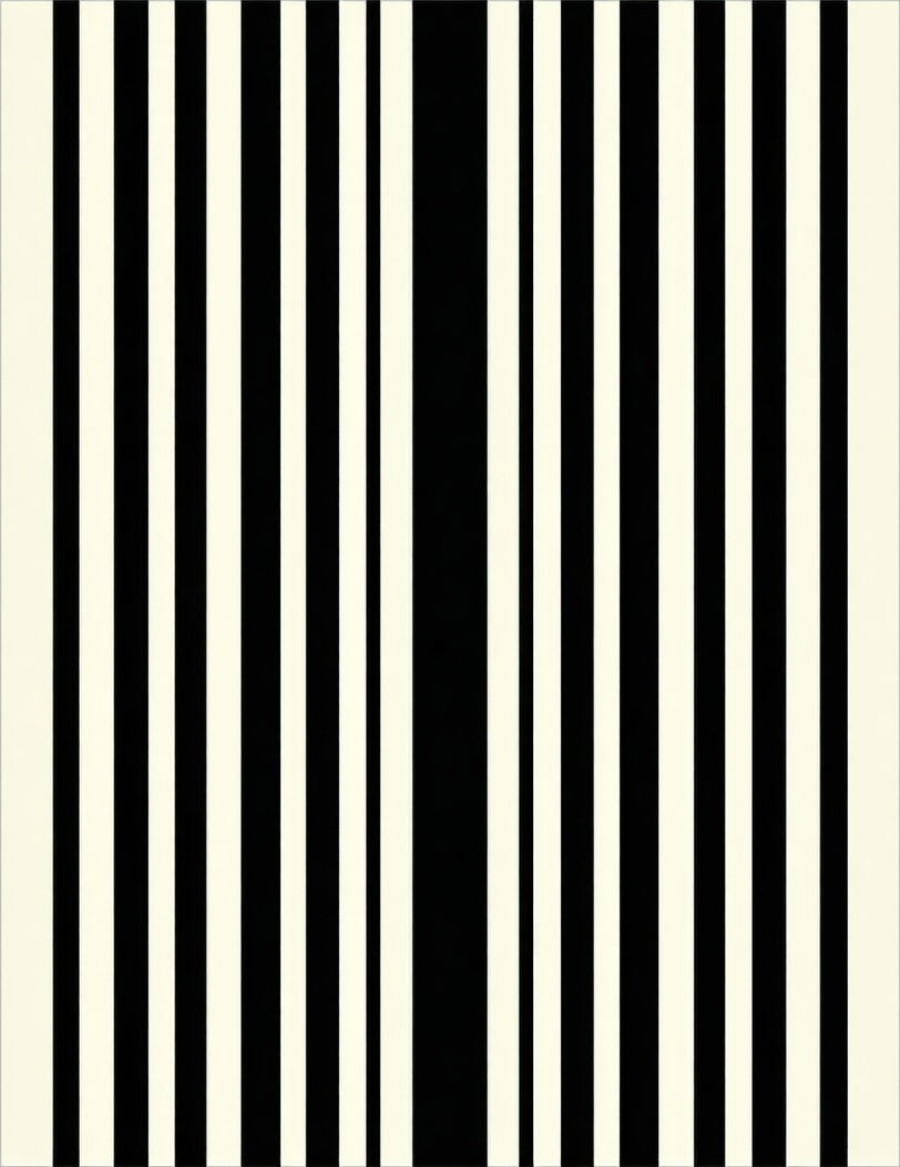 Bold Black White Stripe Pattern Rug