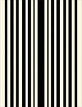 Bold Black White Stripe Pattern Rug