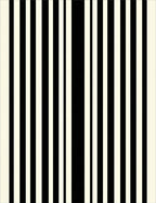 Bold Black White Stripe Pattern Rug