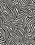 Bold Black and White Zebra Print Rug