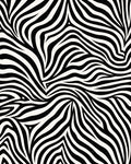 Bold Black And White Stripe Pattern Rug