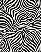 Bold Black And White Stripe Pattern Rug