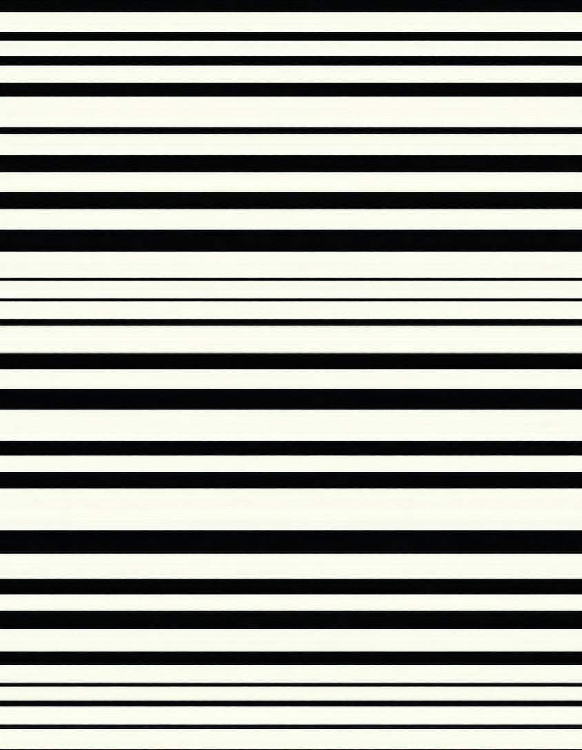 Bold Black White Striped Design Rug