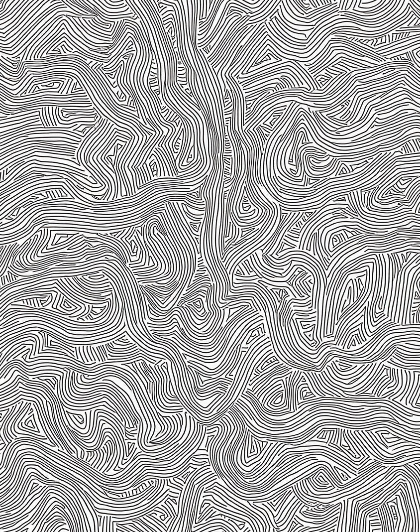 Abstract Black White Line Art Rug