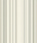 Subtle Stripe Patterned Contemporary Rug