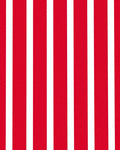 Bold Red White Parallel Bands Rug