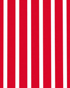 Bold Red White Parallel Bands Rug