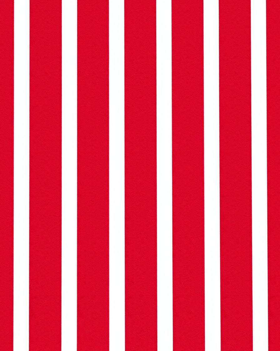 Bold Red White Parallel Bands Rug