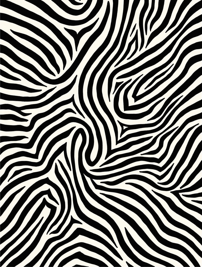 Bold Zebra Stripe Contemporary Rug