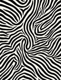 Bold Zebra Stripe Contemporary Rug