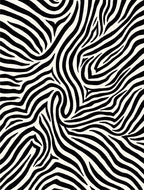 Bold Zebra Stripe Contemporary Rug