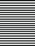 Bold Black White Horizontal Stripes Rug
