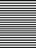 Bold Black White Horizontal Stripes Rug