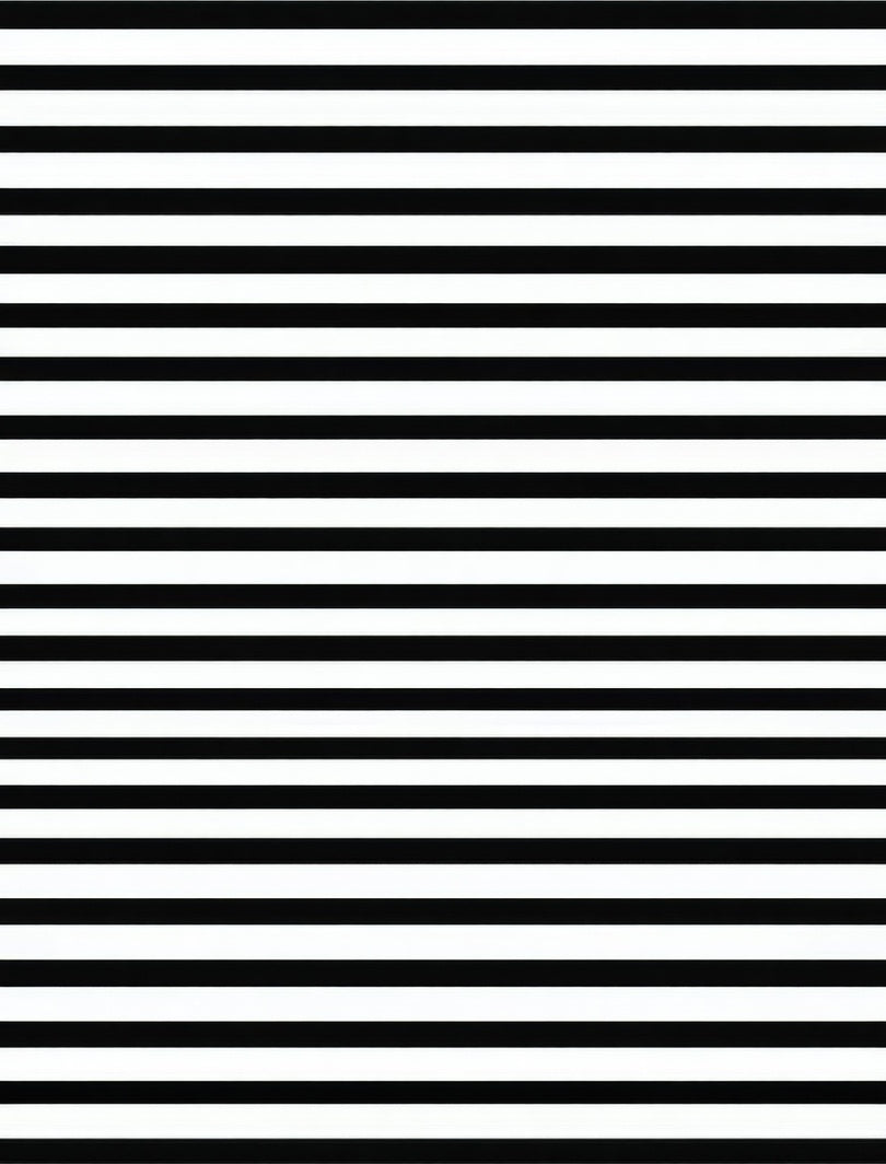 Bold Black White Horizontal Stripes Rug