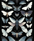 Dark Butterfly Moth Illustration Rug