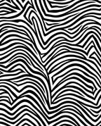 Bold Black White Zebra Print Rug