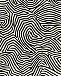 Organic Abstract Black White Pattern Rug