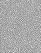 Abstract Black White Dot Pattern Rug