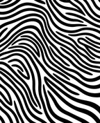Bold Black White Animal Print Rug