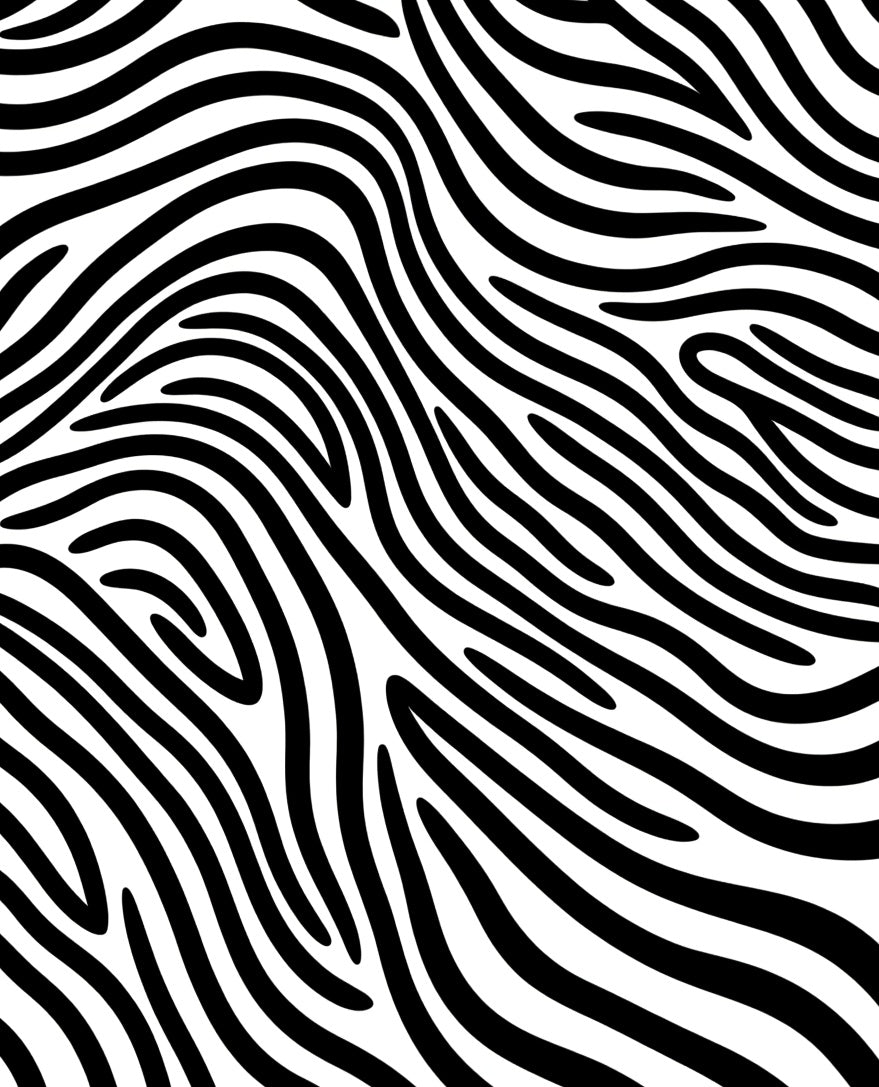 Bold Black White Animal Print Rug